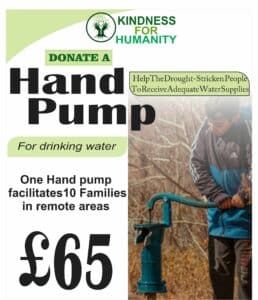 Donate a Hand Pump